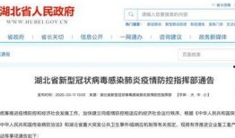 湖北最新爆料新闻报道